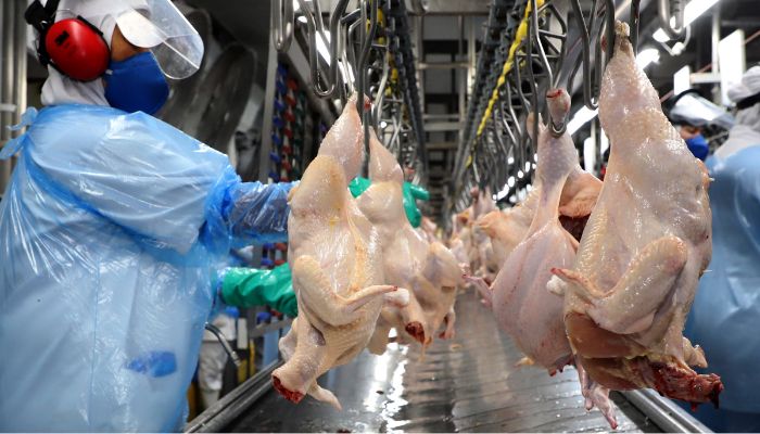  Perto do bilhão: vendas de empresas do Paraná para outros estados crescem 211% em sete anos 